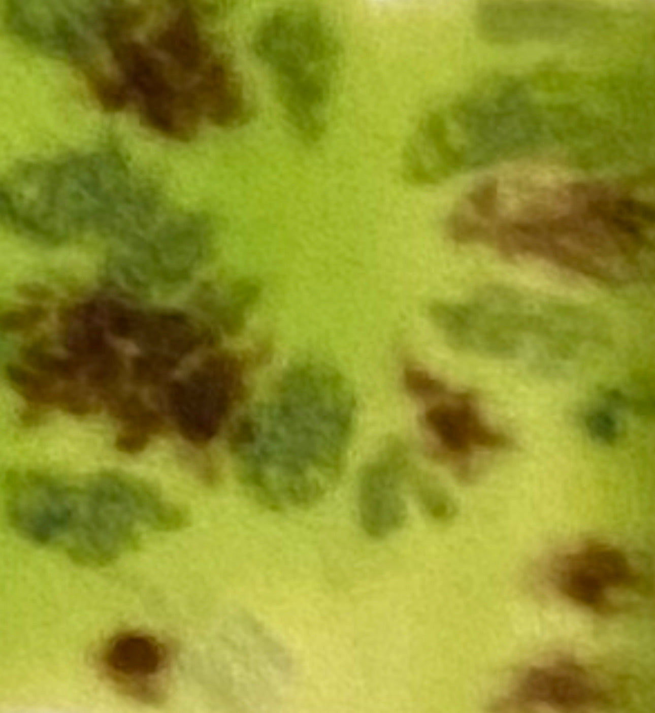 "Sex-ED" Frogs Bisque (pair)