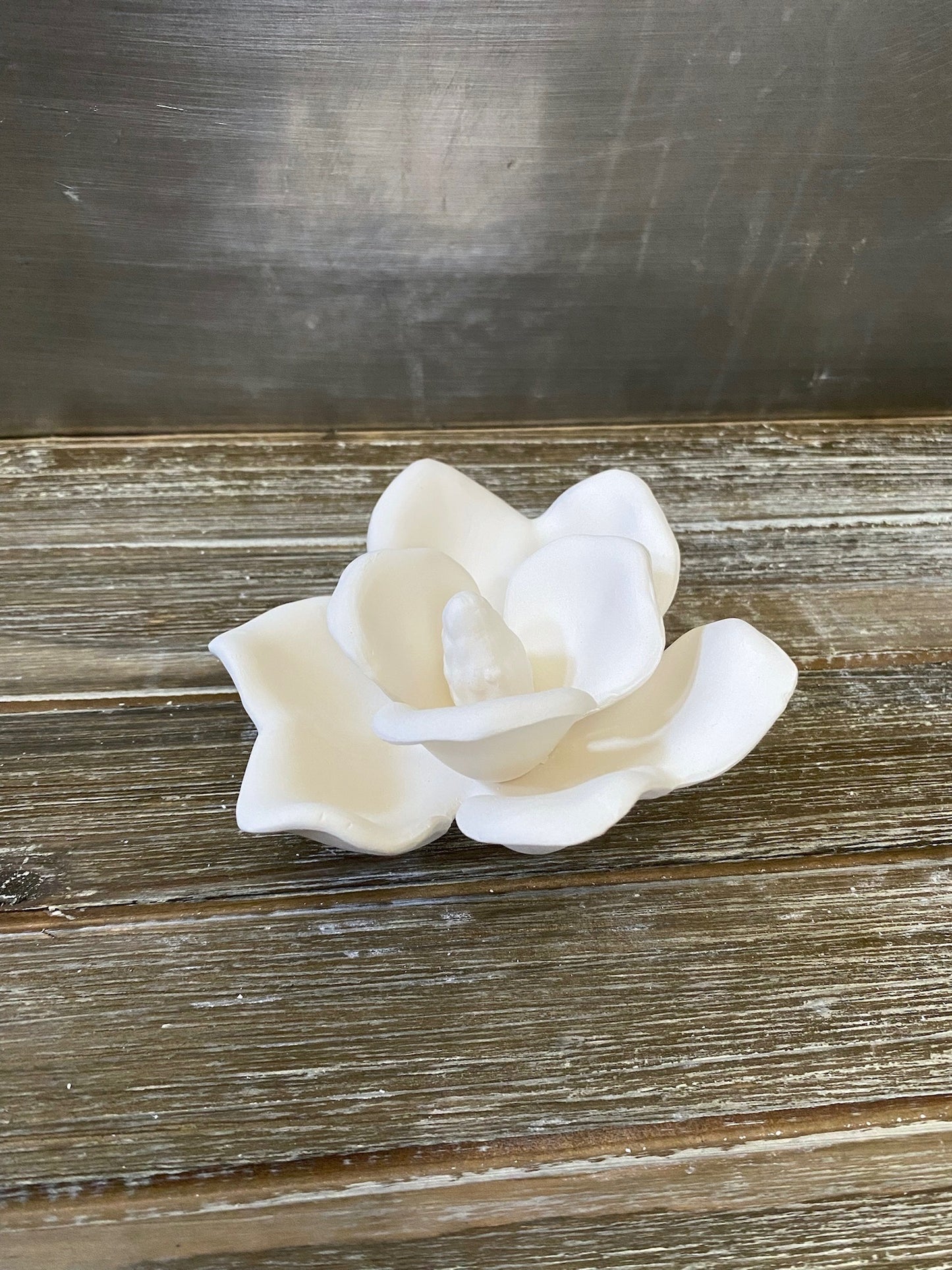 Magnolia Blossom Bisque