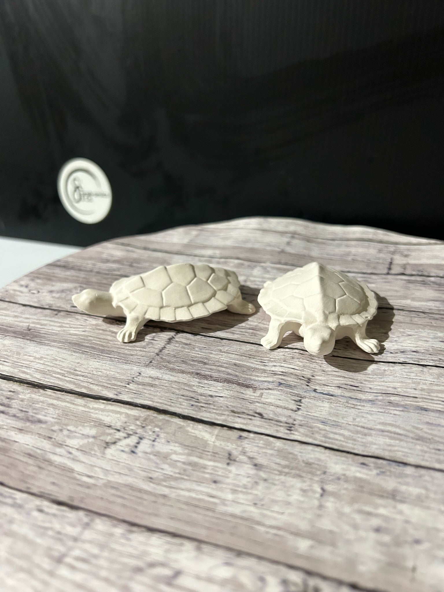 Sex-ED" Turtle Bisque (Pair) Sarah-amics Co LLC Sex-ED" Turtle Bisque (Pair) Sarah-amics Co LLC