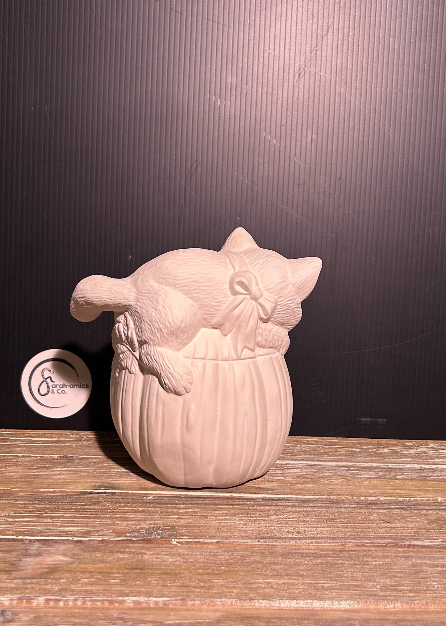 Cat on Pumpkin Bisque