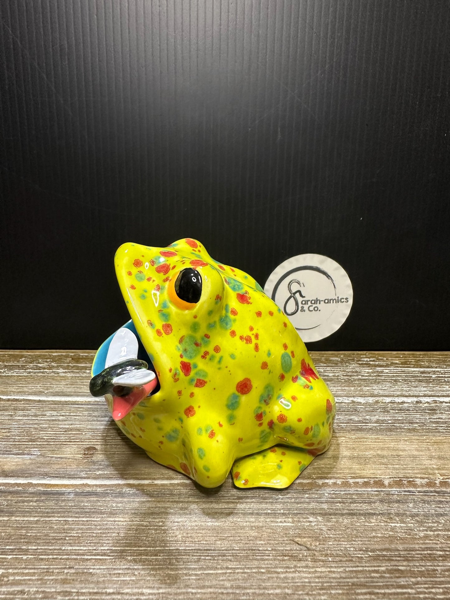 Finished Frog Salt Pot