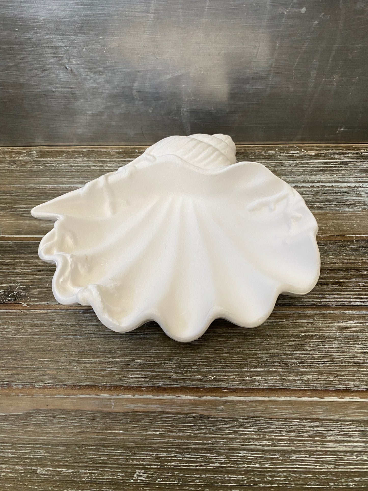 Conch Shell Tray Bisque