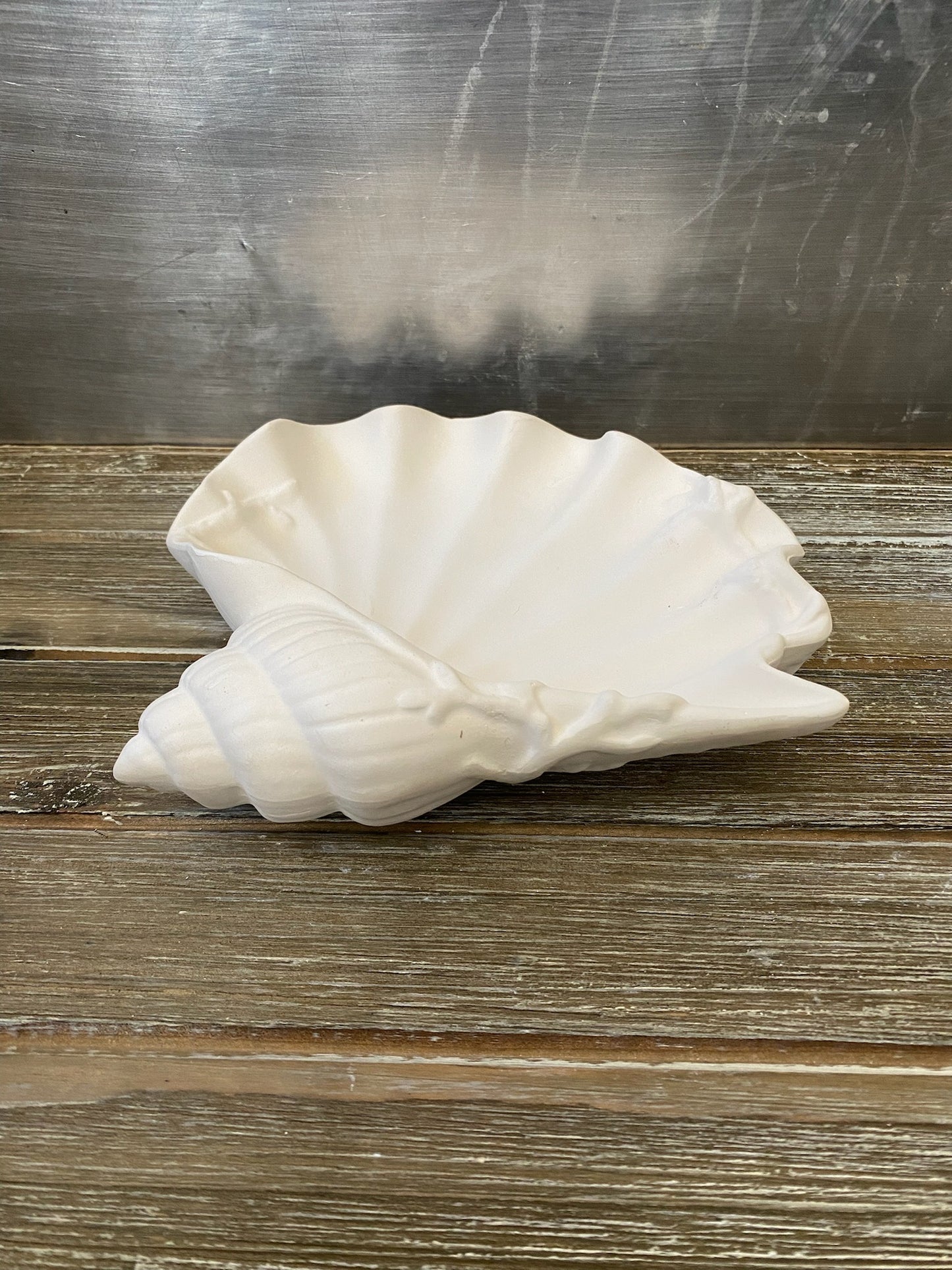 Conch Shell Tray Bisque