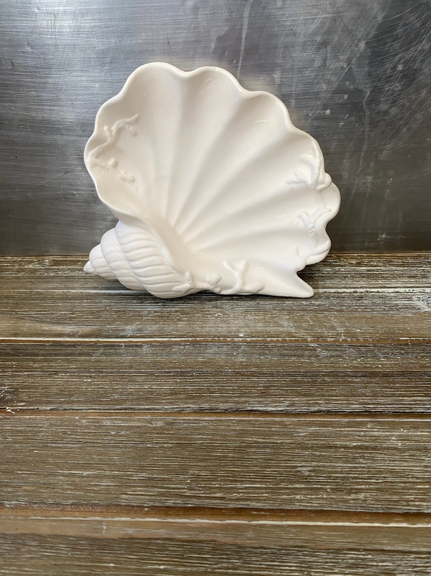 Conch Shell Tray Bisque