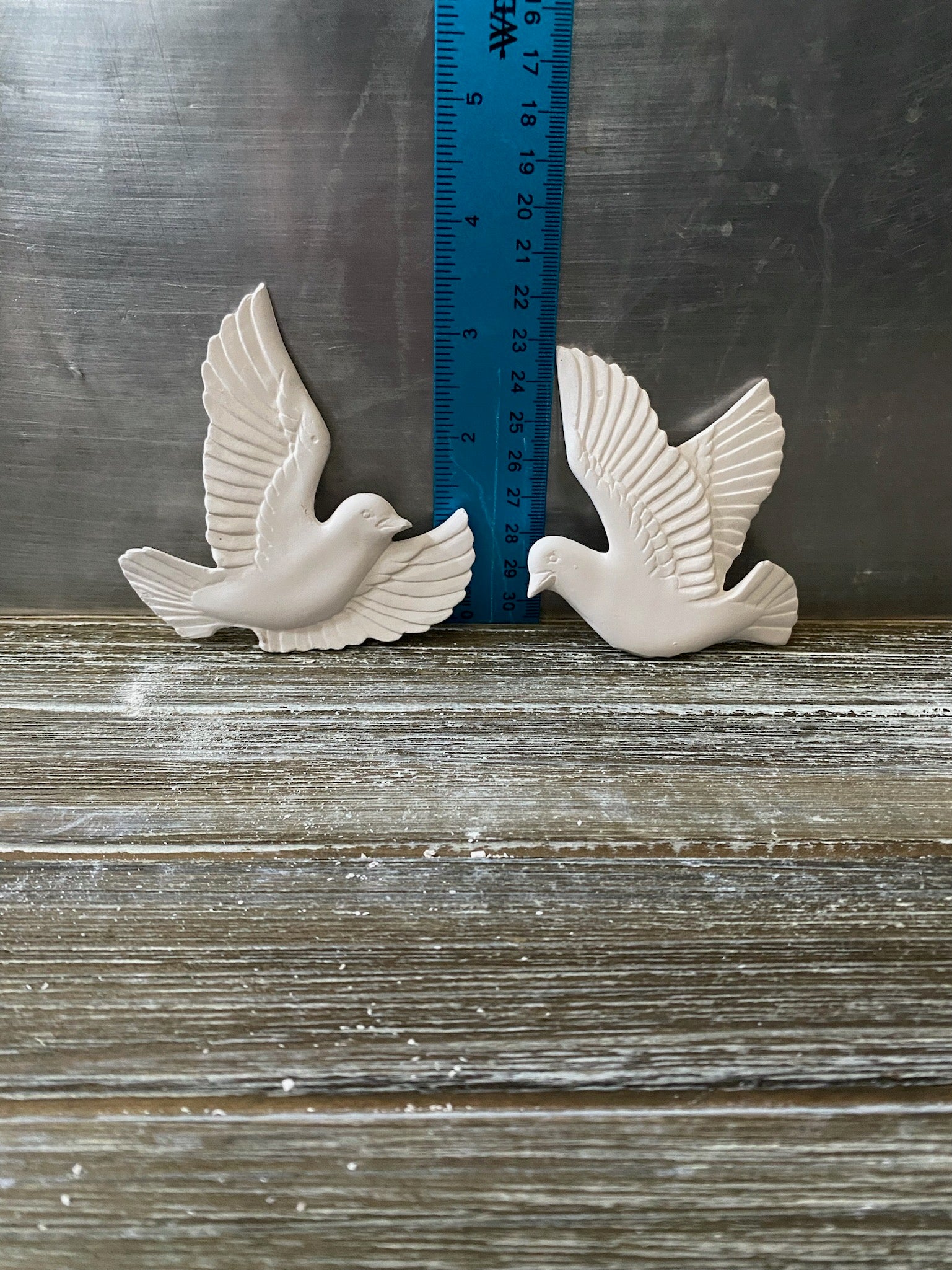 Turtle store dove ornaments