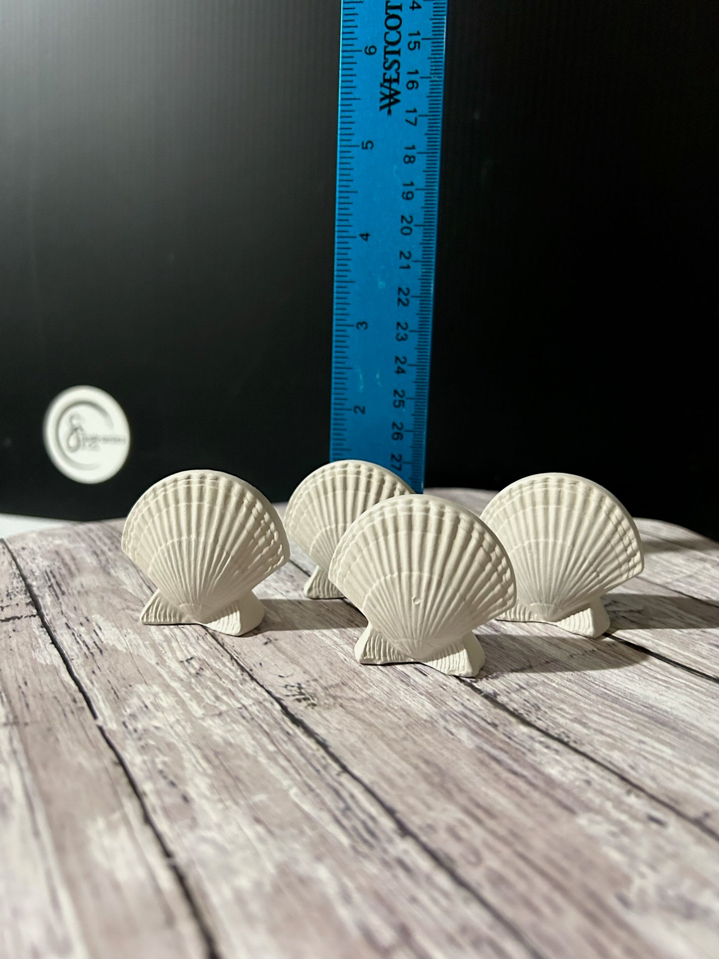 Nassau Shore Shells Bisque (4 to a order)