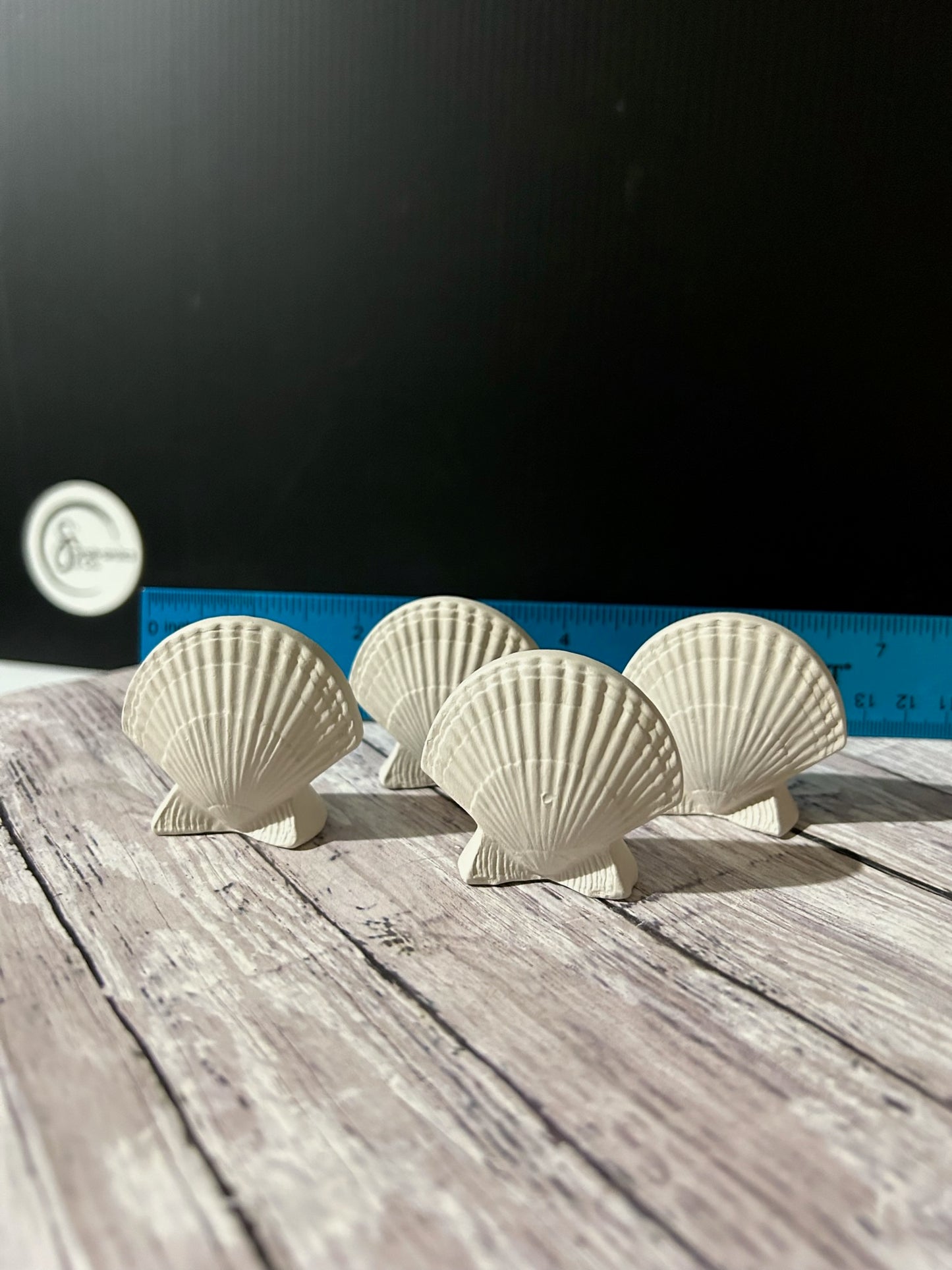 Nassau Shore Shells Bisque (4 to a order)